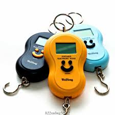 Portable Electronic Scale | 24hours.pk