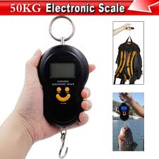 Portable Electronic Scale | 24hours.pk
